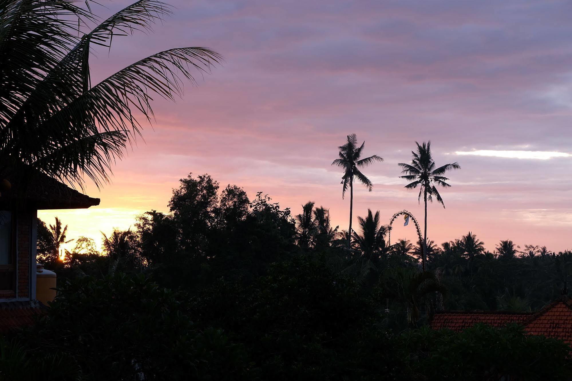 Ketut'S Place Bed & Breakfast Ubud Exterior photo